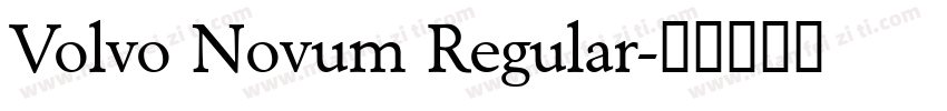 Volvo Novum Regular字体转换